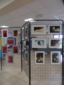 photos journée ACL des adhérents et de leurs amis (12)