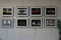Exposition photo à Saint Prim (2)
