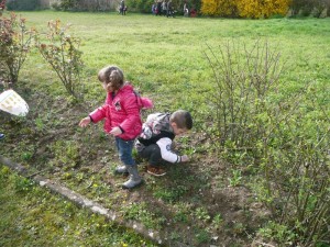 Chasse aux Oeufs (4)