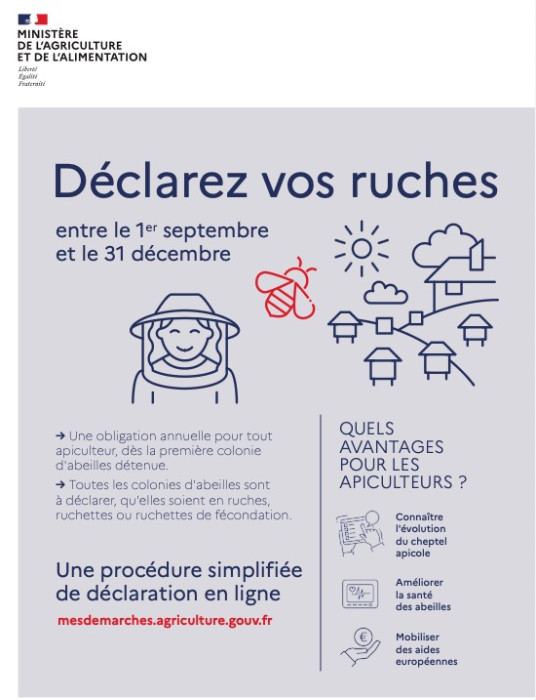 déclaration obligatoire de ruches