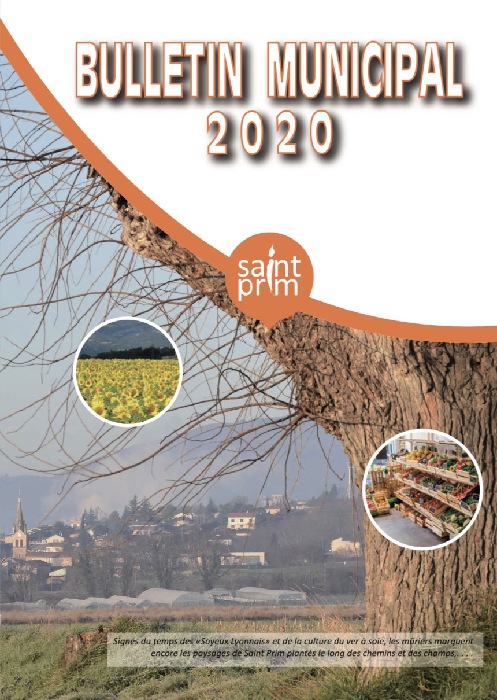 Bulletin municipal 2020 (1)
