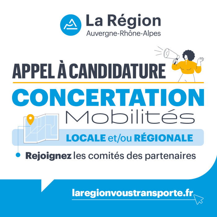 Comité des Partenaires Locaux