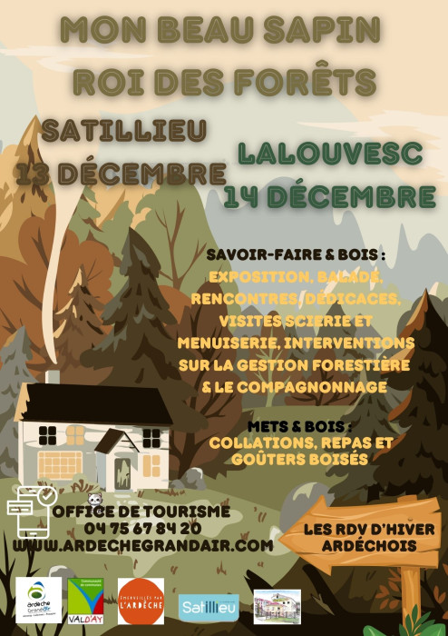 Mon beau Sapin, Roi des Forêts !