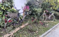 Espaces verts - Voirie - Entretien courant (1)