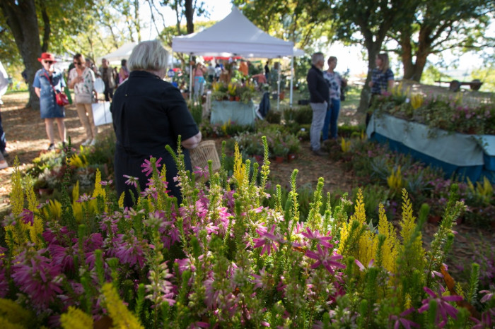 Fête des Plantes 2025 