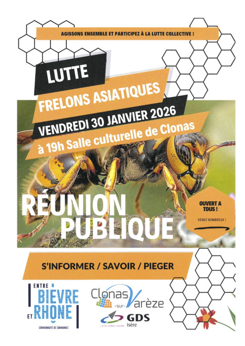 affiche réunion publique frelon asiatique