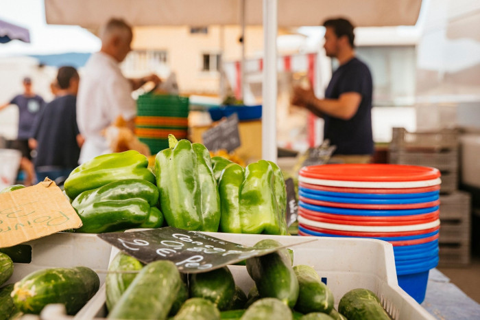 illustration enquete circuit curt