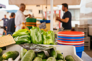 Enquête Circuits courts